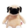 Personalised Pug Teddy Bear