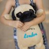 Personalised Pug Teddy Bear