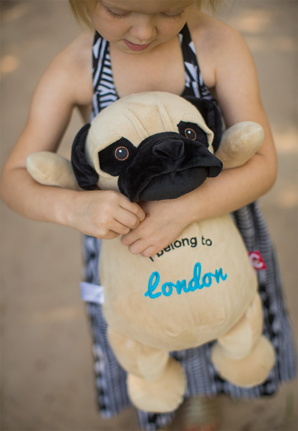 Personalised Pug Teddy Bear