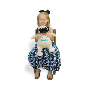Personalised Pug Teddy Bear