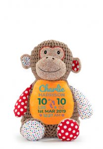 Personalised Monkey Teddy