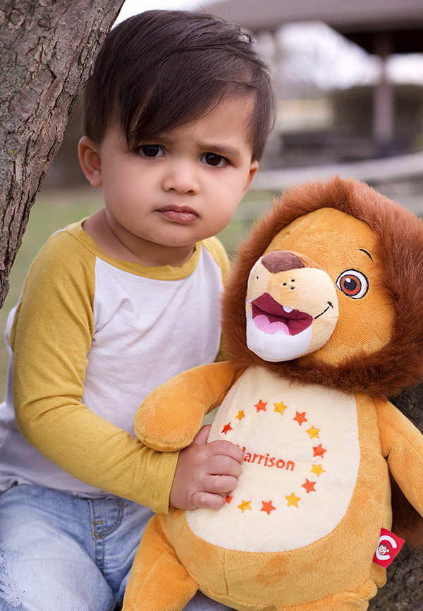 Lion Teddy Personalised Baby Sensory Toy