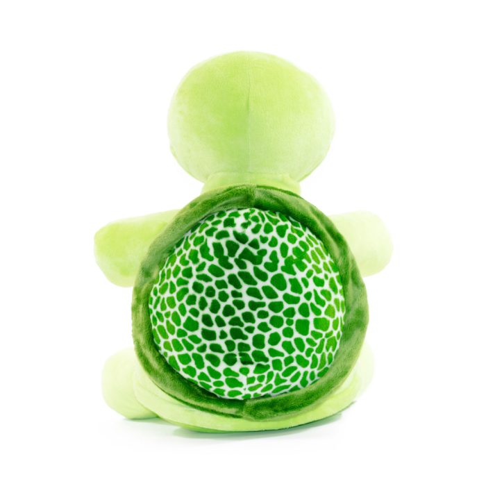 Turtle - Image 3