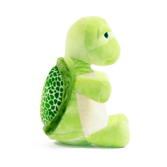 Turtle - Image 2